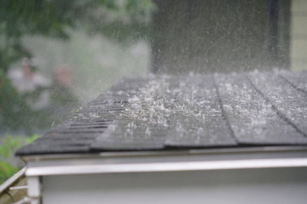Best Rubber Roofing (EPDM, TPO)  in Elmwood Park, IL